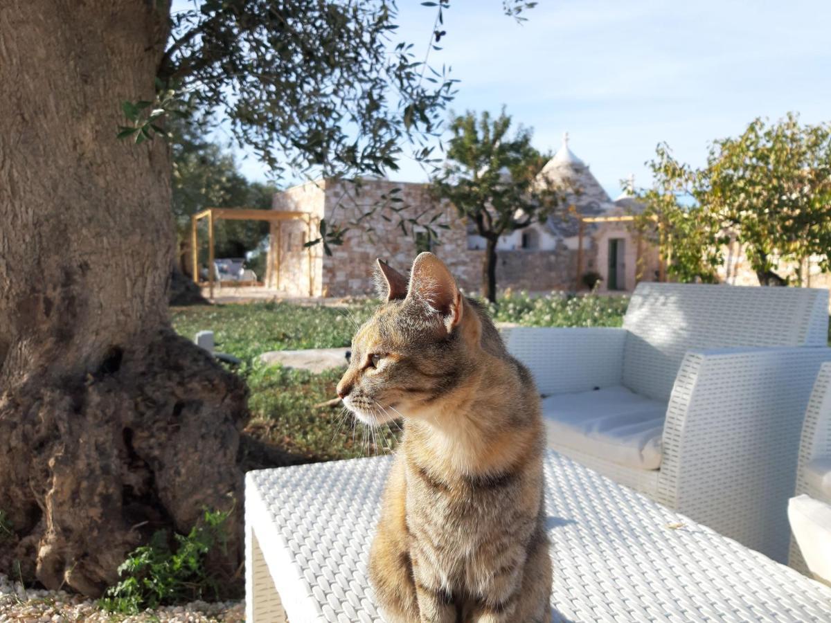 Il Fiore Della Vita Trulli Country House Конверсано Экстерьер фото