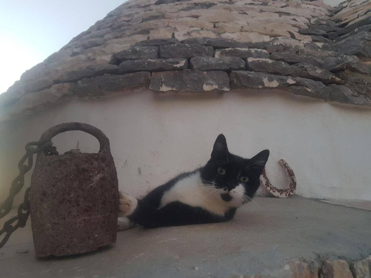 Il Fiore Della Vita Trulli Country House Конверсано Экстерьер фото