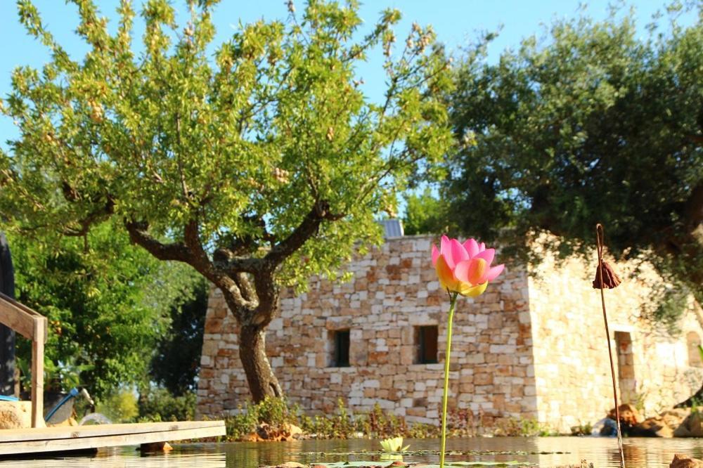 Il Fiore Della Vita Trulli Country House Конверсано Экстерьер фото
